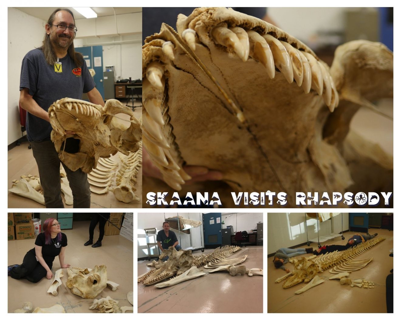 Images of Skaana peeps with the skeleton of Rhapsody.