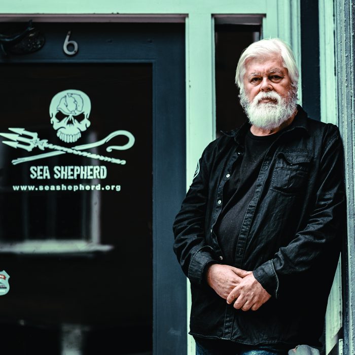 Sea Shepherd Captain, Paul Watson, on Seaspiracies and the Smartest Species on Earth