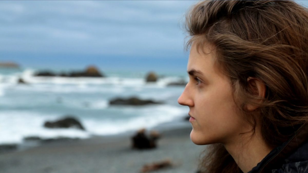 Julia Barnes on Bright Green Lies and Cars Vs. Fish – Skaana